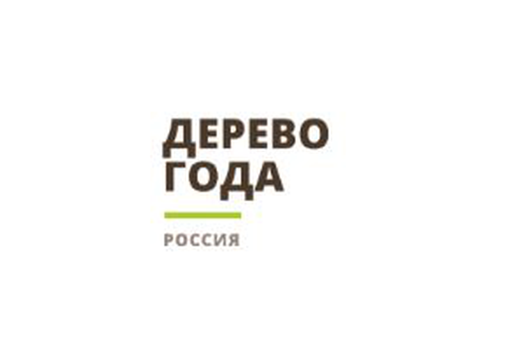 Конкурс «Российское дерево года – 2025»