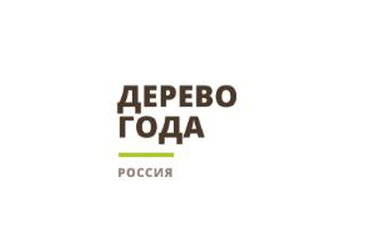 Конкурс «Российское дерево года – 2025»