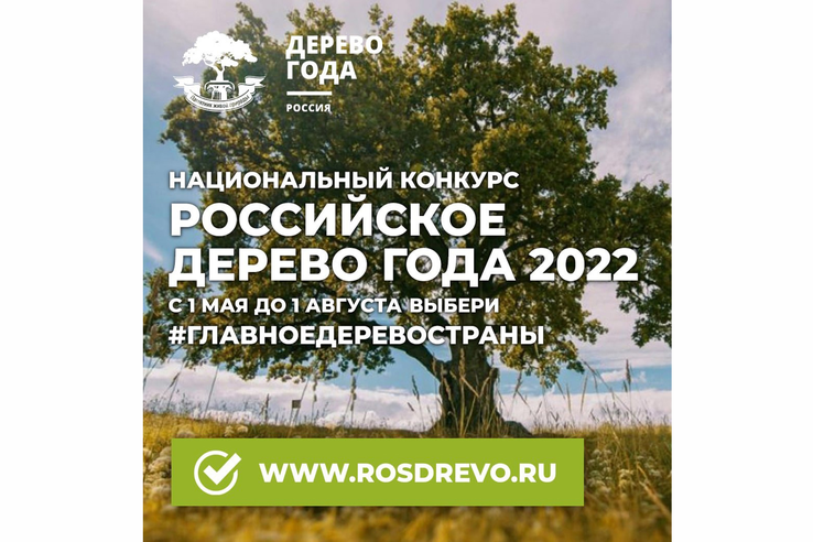 Всероссийский конкурс «Российское дерево года - 2022»